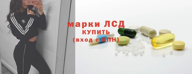 ПСИЛОЦИБИНОВЫЕ ГРИБЫ Краснослободск
