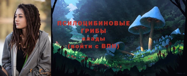 скорость Абаза