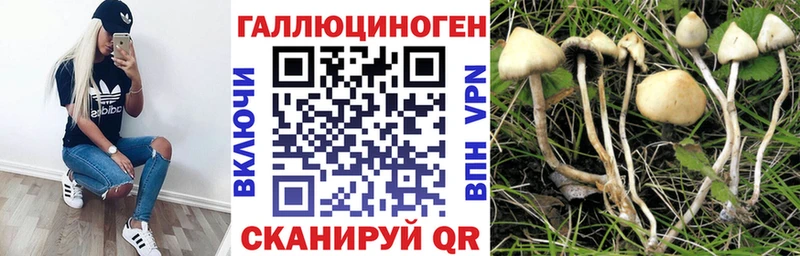 закладка  Урень  Псилоцибиновые грибы GOLDEN TEACHER 